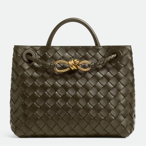 Bottega Veneta Andiamo Small Bag in Kaki Intrecciato Lambskin